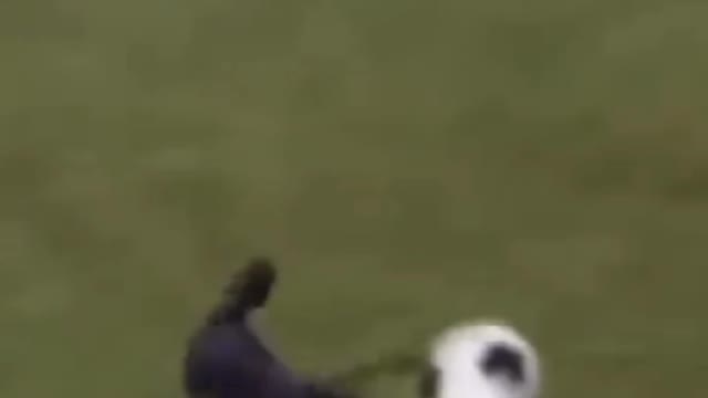 Funny Cat Play FOOTBALL