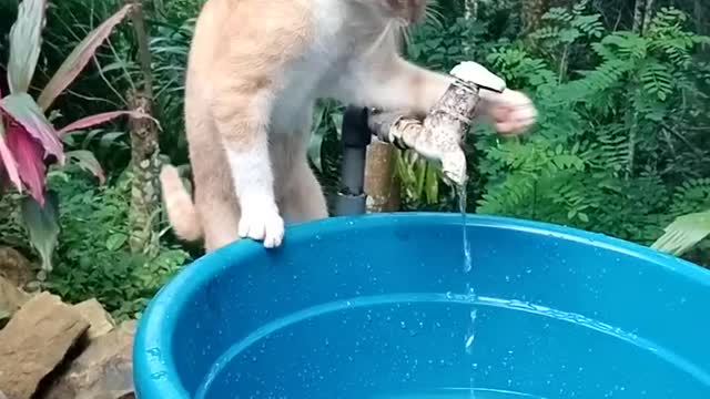 I'm going to take a bath now