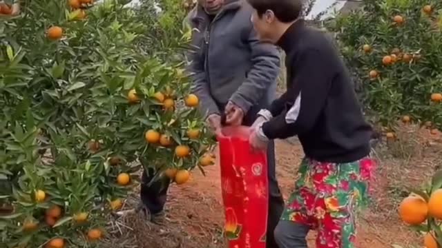 Funny Chinese pranks