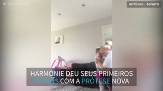 Garotinha amputada dá primeiros passos com prótese em vídeo emocionante