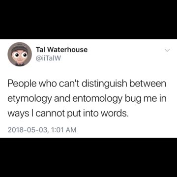 Etymology and Entomology #shorts #memes #puns #funny #bugs #wordplay #twitter