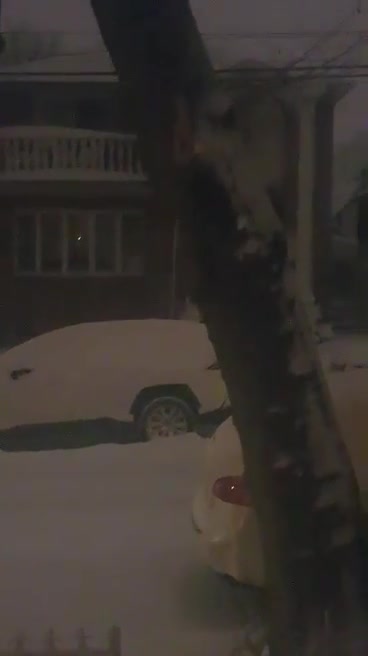 The first snowstorm punch my door glass