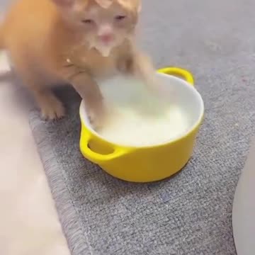 Milk so good I wish I didn’t have to come up for air 🤣