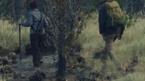 Young people walking through a forest