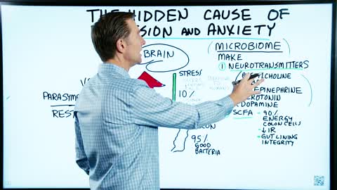 DrBerg-Hidden Cause of Depression and Anxiety