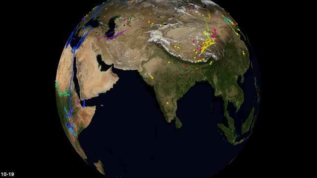 Birds migration in movebank:Eaursia