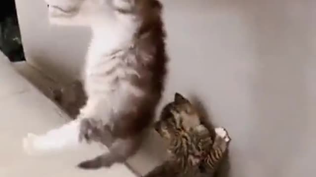 Secret hideout busted...ππΎππ