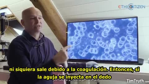 ARMIN KOROKNAY - Científico especializado en toxicología.