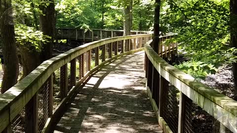 The path