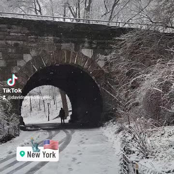 New York City Manhattan America USA Central Park