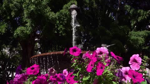 Fountain! Relax!