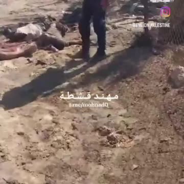 Ecco Isaia , ecco popolo eletto 🖕🖕🖕