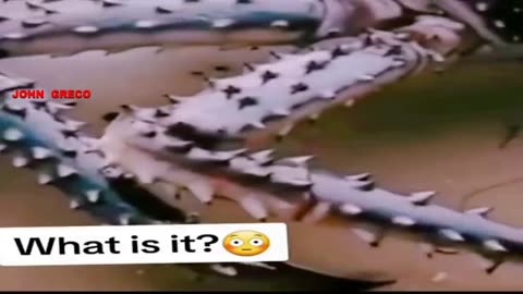 ΠΑΡΑΞΕΝΕΣ ΚΑΤΑΣΤΑΣΕΙΣ... ΔΥΤΙΚΕΣ ΑΚΤΕΣ... ΗΠΑ 😳😳😳