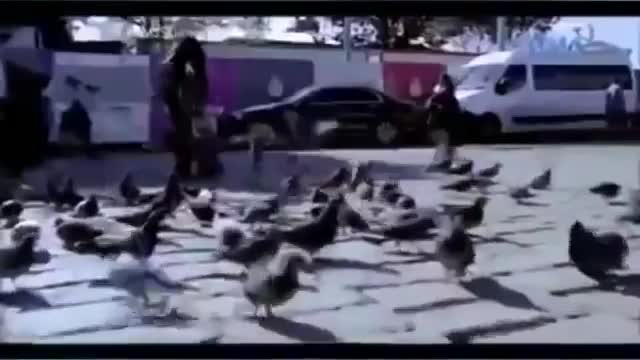 No pararas de reirte