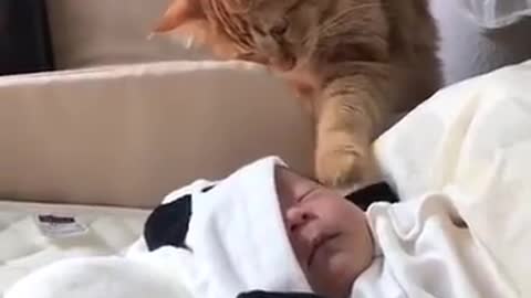 Cat: my baby is sleeping..