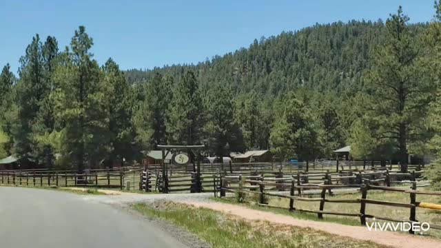 A drive through Greer Arizona