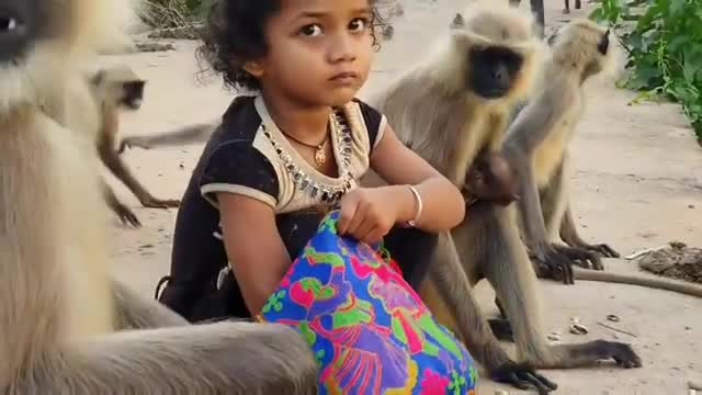 Monkeys & A Young Girl-Watch Special Episode Of News Fuse