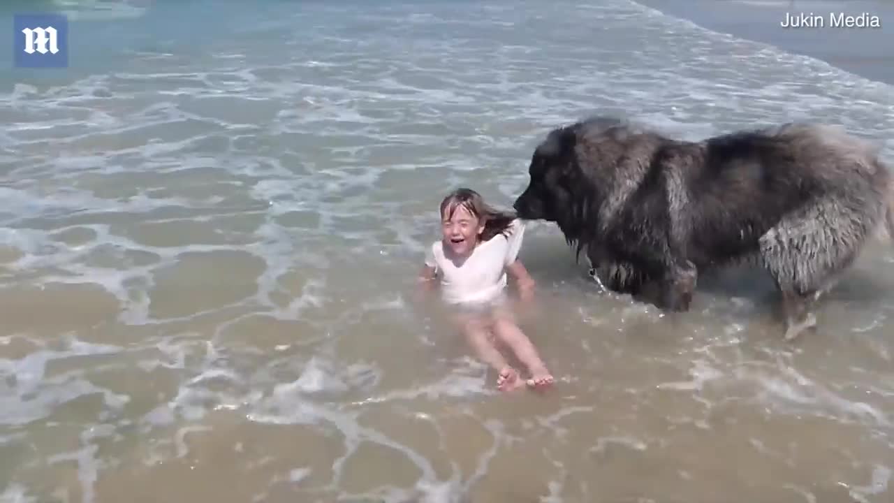 Rescue Dog Saves Granddaughter