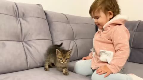 Cute baby meet kitten for the first time | cute kitten