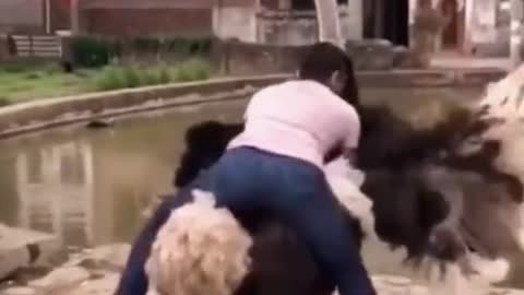 Veryfunny! what a Funny Video!|