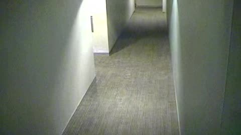 8410OHOB03SouthCorridor_2021-01-06_00h20min00s147ms.mp4