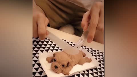 Reactions of Dogs seeing Cut a Dog Cake (Funny video)