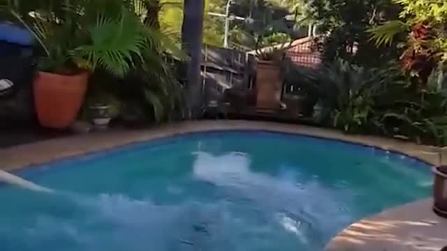 Men will be men