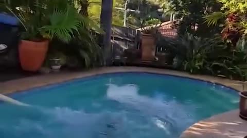 Men will be men