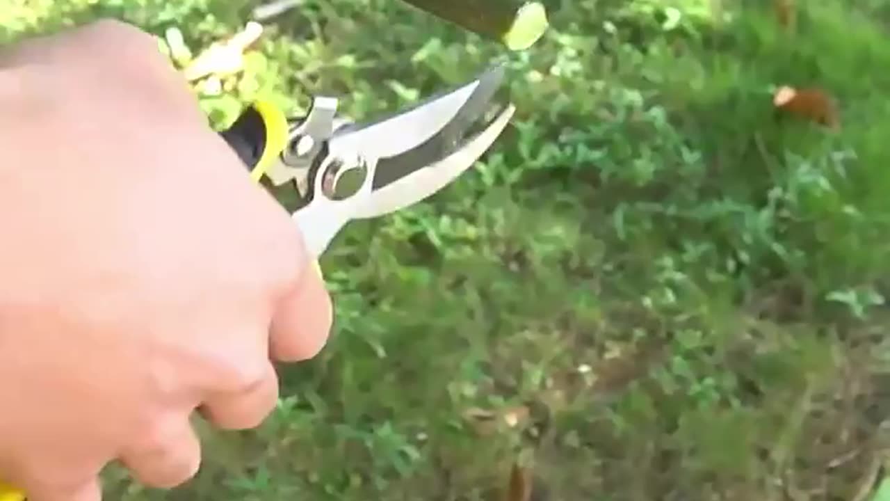 Efficient Garden Pruning Shears