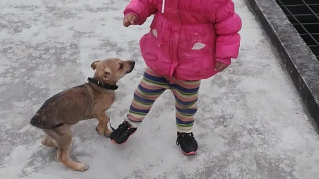 A little boy is scaring from puppy