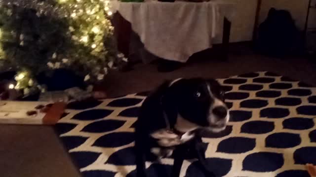 Brisbee wishing everyone a Happy New Year!!