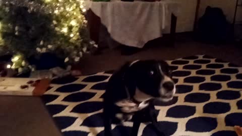 Brisbee wishing everyone a Happy New Year!!