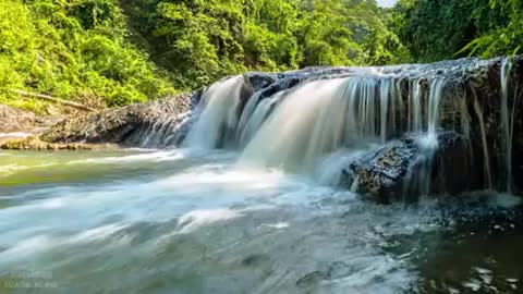 sound of nature