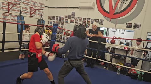 Joeys sparring Jimmy 1. 11/6/24
