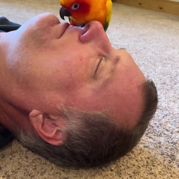 Parrot sushes his grandad every time he tries to speaks