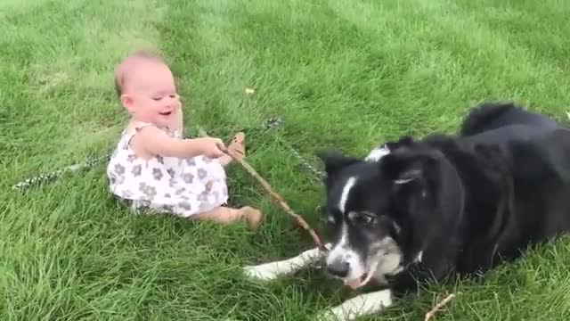 Cute dogs and babies are best friend😂