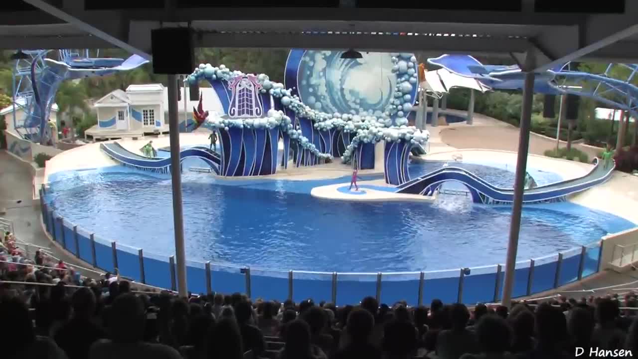 The Complete SeaWorld "Blue Horizons" Dolphin Show