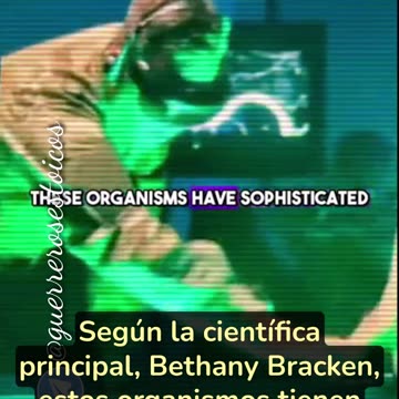 Parasitos y supersoldados