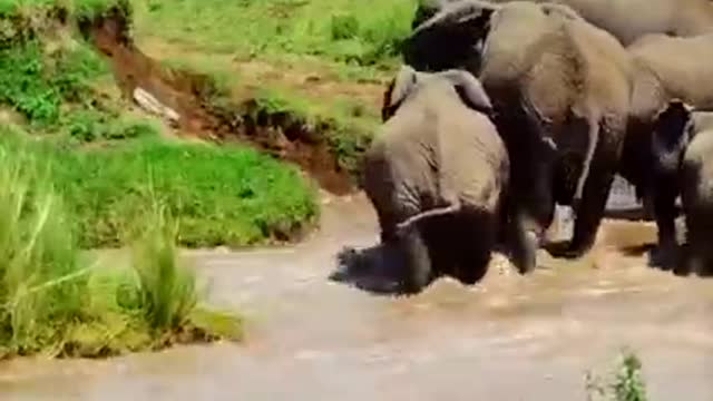 helping baby to fight flood