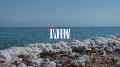 DEAD SEA MINERALS