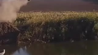 How to cross a river.