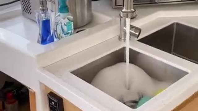 SV Imagine Sink Installation