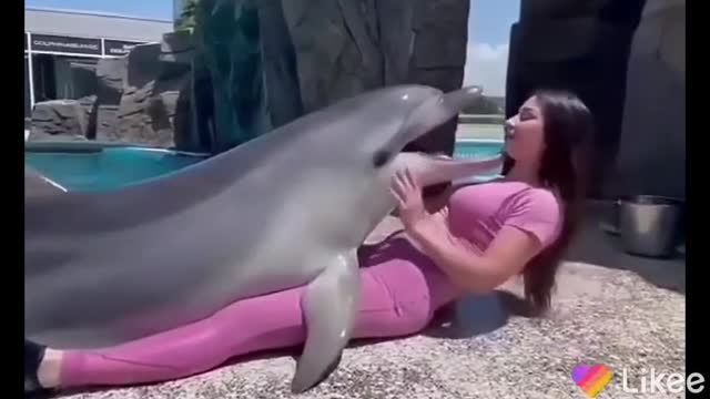 Mega fishes