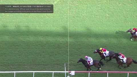 Horse_Race_2022060508_Chinese