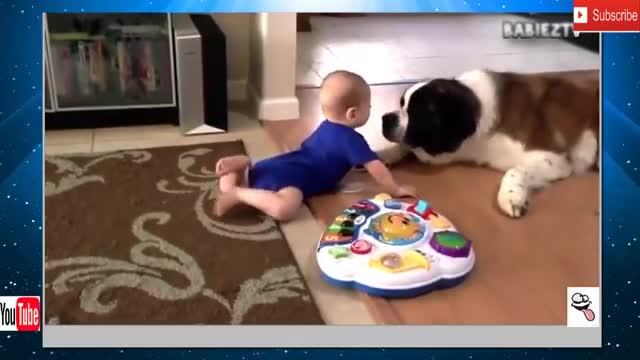 Big Dogs Playing with Babies Compilation 2021