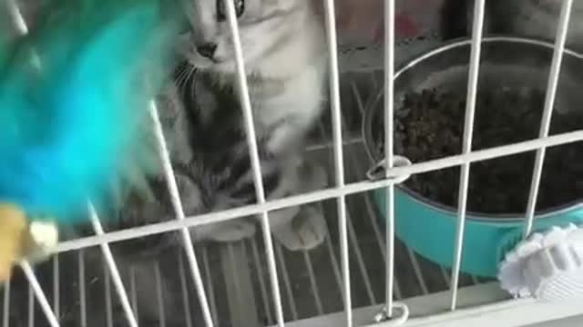These two little guys are so adorable