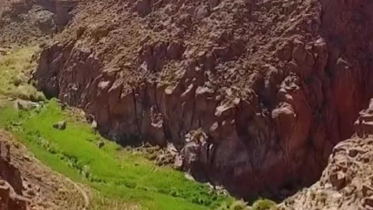 En este paraíso en medio del Atacama viven unos vecinos enigmáticos.