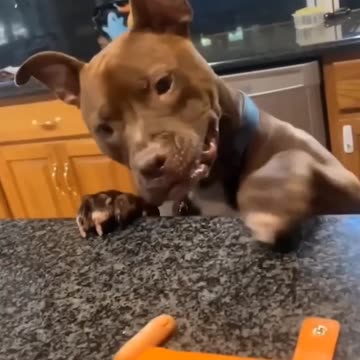 Needs to be a bit more subtle 😂