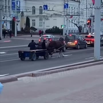 Horse and cart rides in Vitebsk