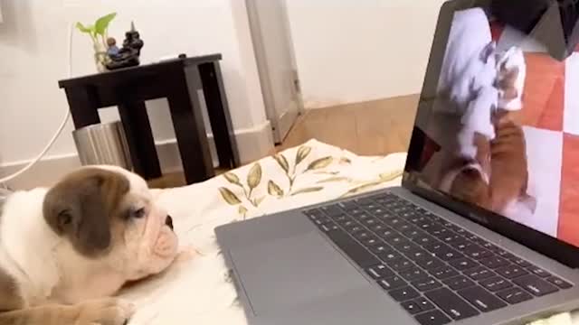When you get a day off, what do you do? As for me, I will watch movies.